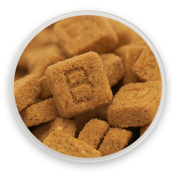 ���ο���