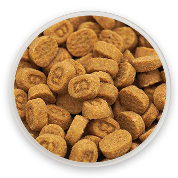 ��Բ�ο���