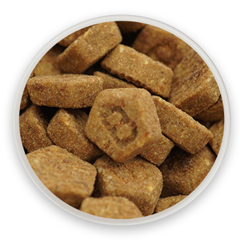 ����ο���