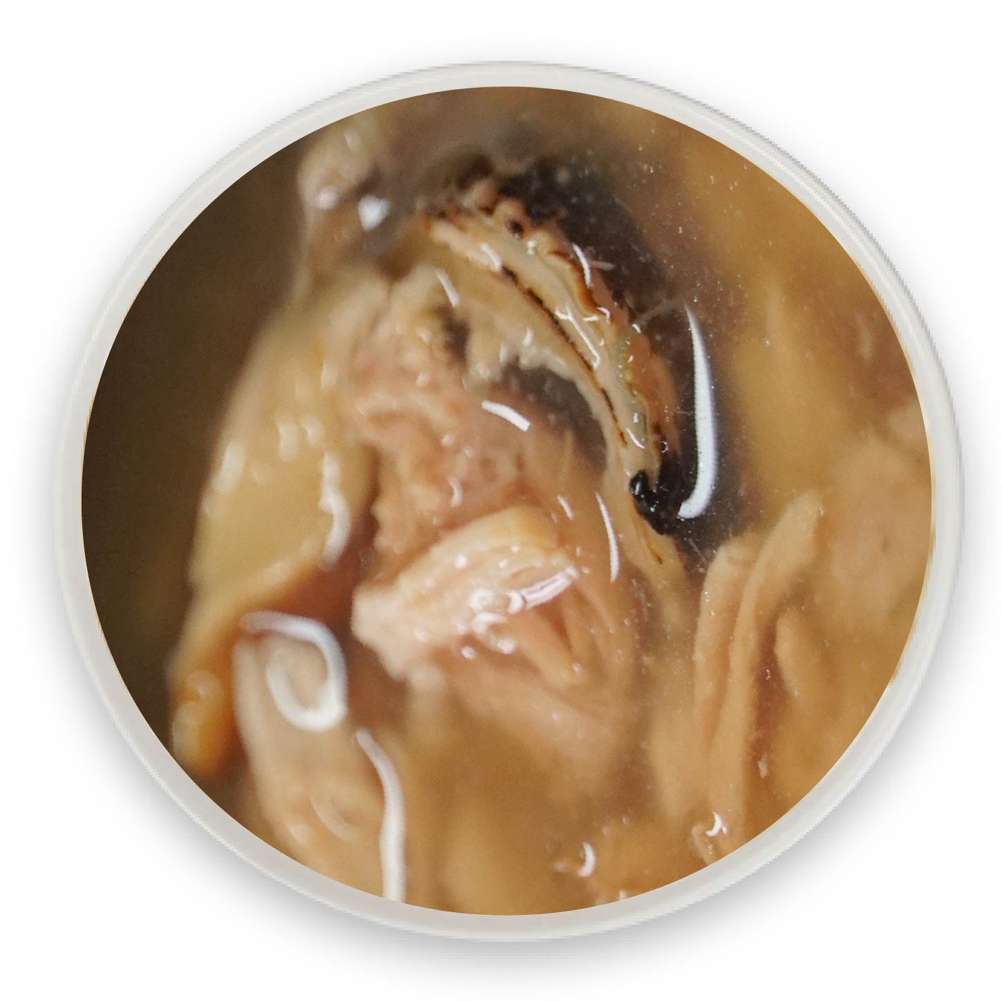 ��˿�̴��ݱ�����