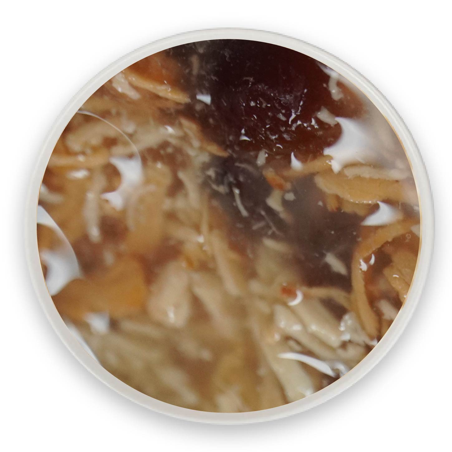 ��˿��Խݮ����