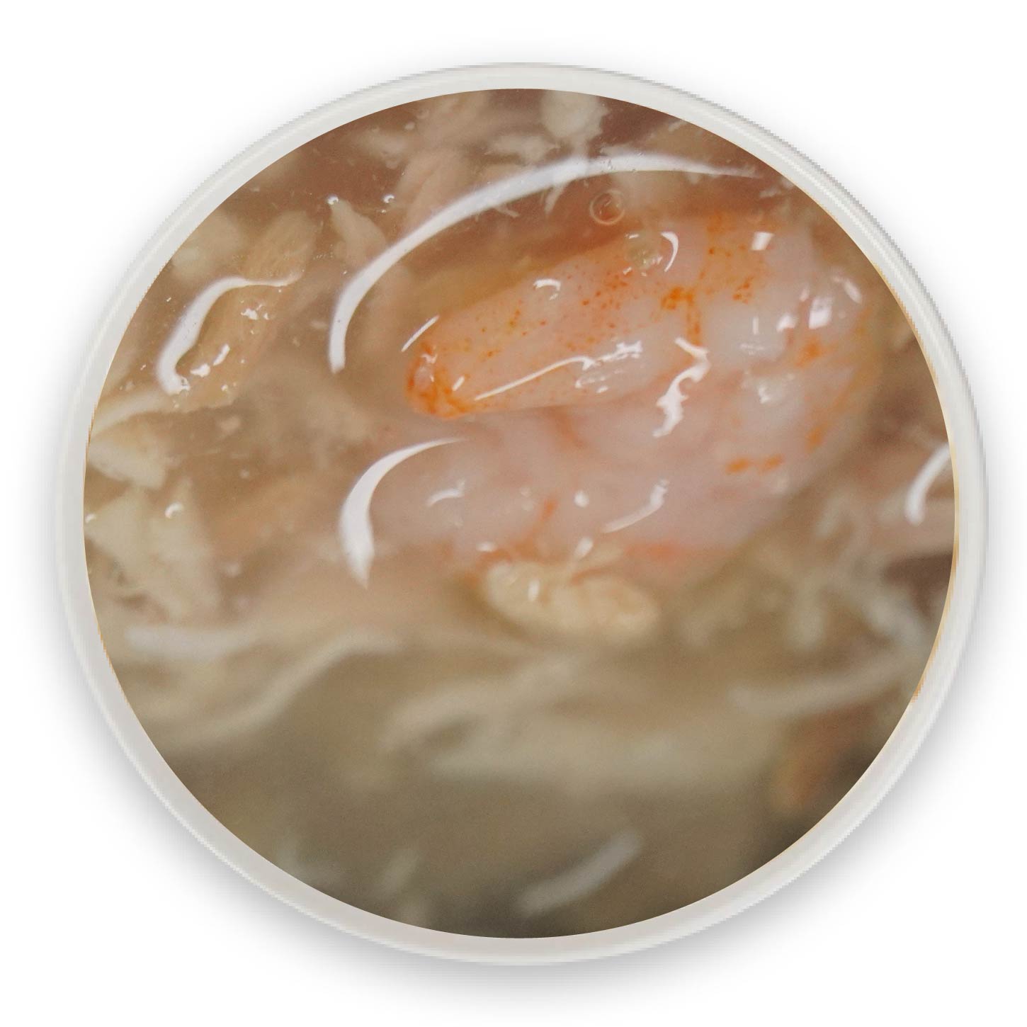 ��˿Ϻ������