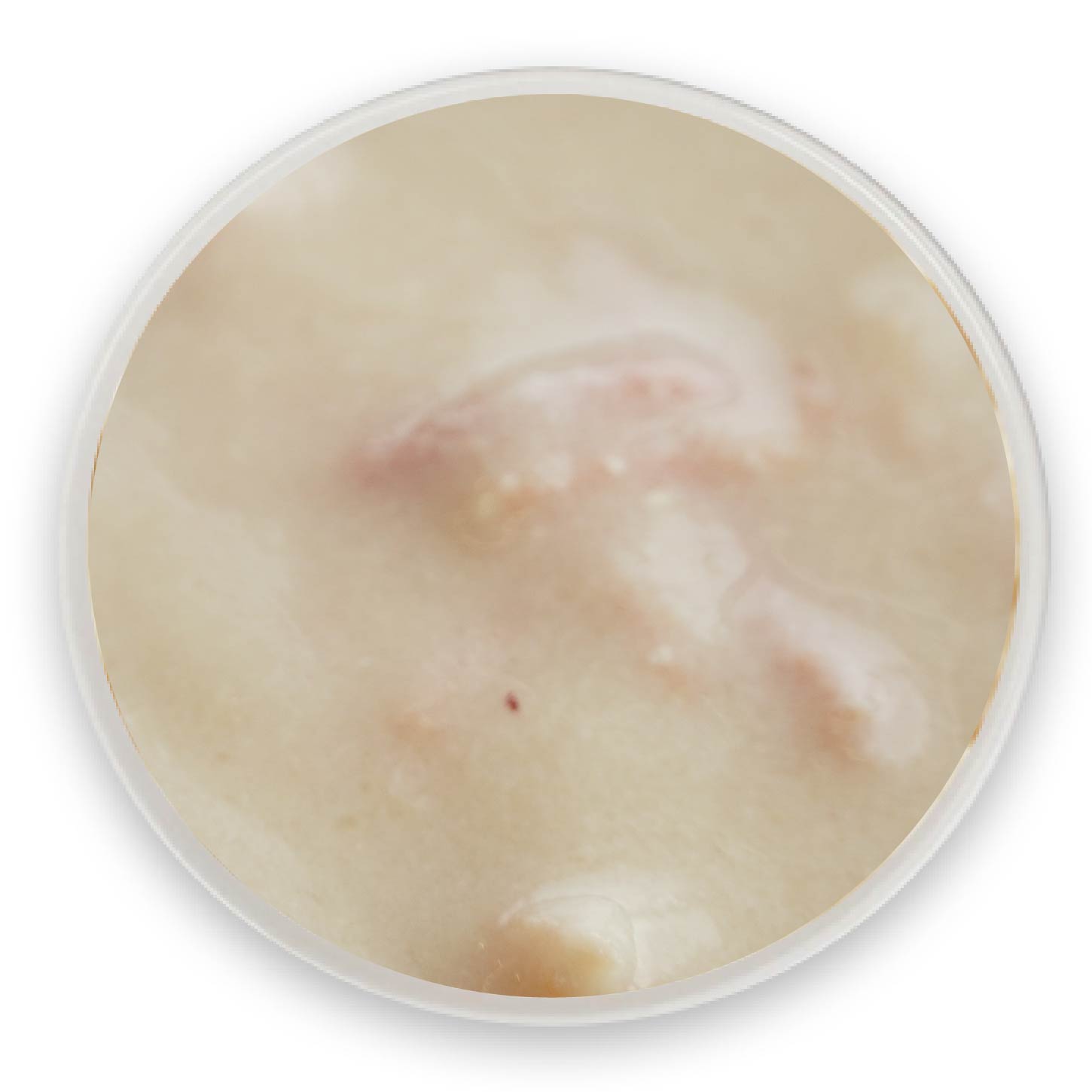 ����Ѽ�������