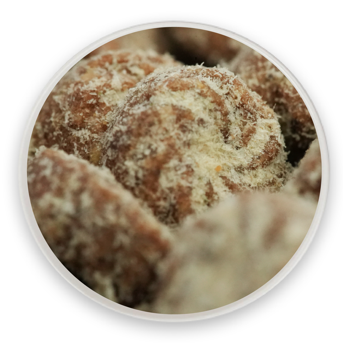 ������Բ��